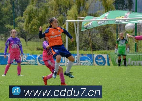 九游在线平台生态图